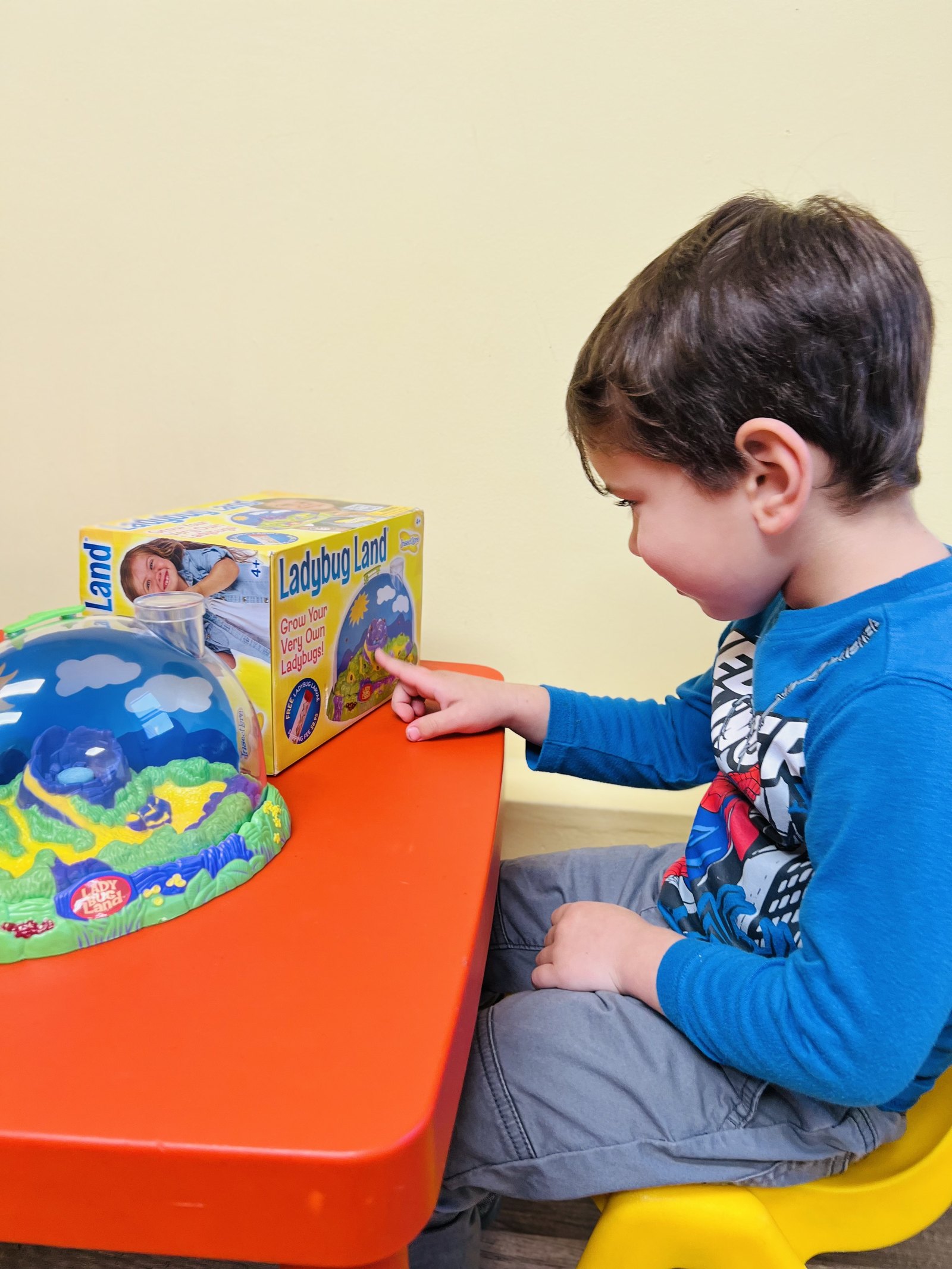 Child exploring a ladybug learning activity